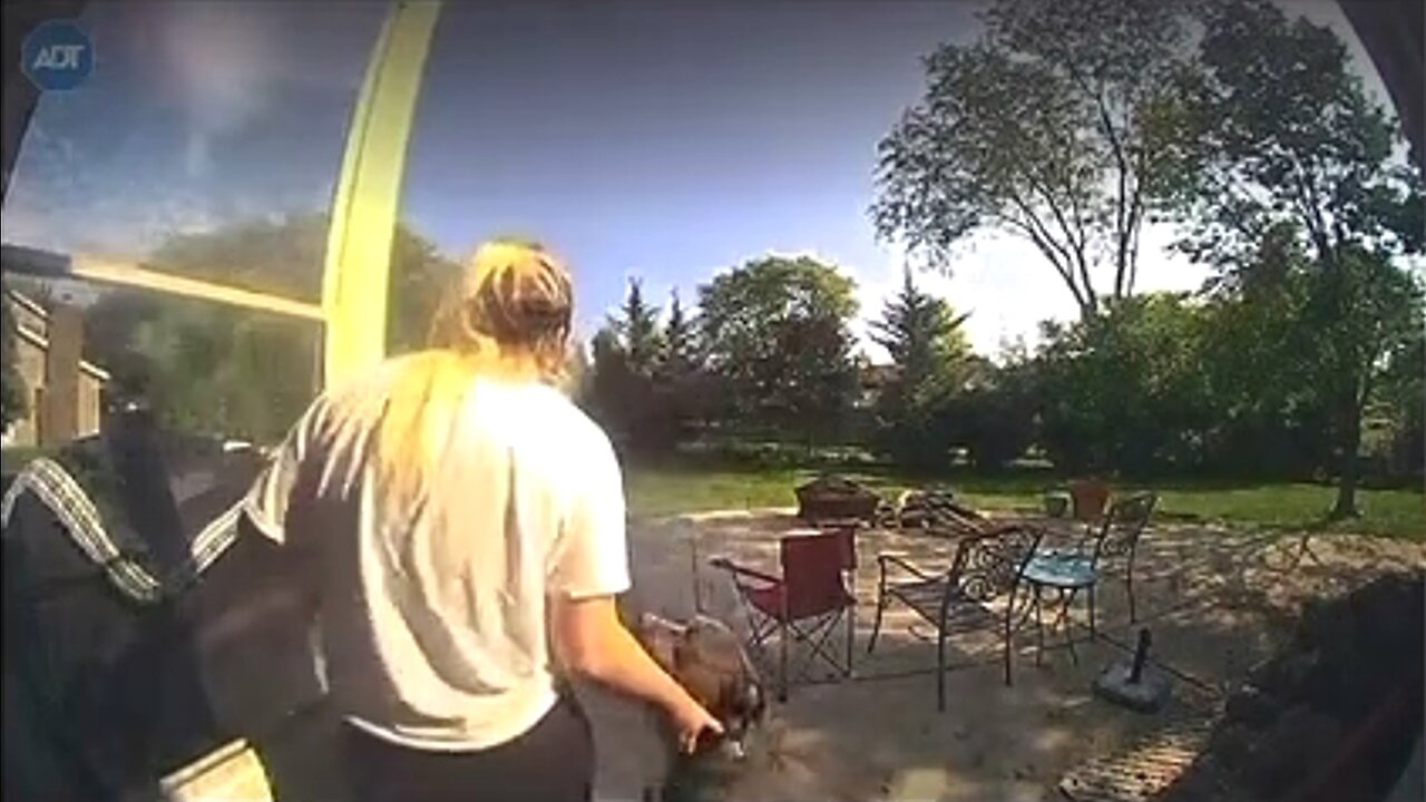 Excited Dogs Knock Down Owner | Doorbell Camera Video