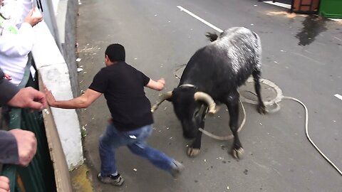 10 Marradas Complicadas - Touradas Ilha Terceira - Açores