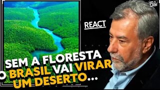 Precisamos SALVAR a AMAZÔNIA REACT