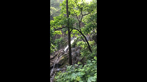 Beautiful waterfall located on a centre of forest