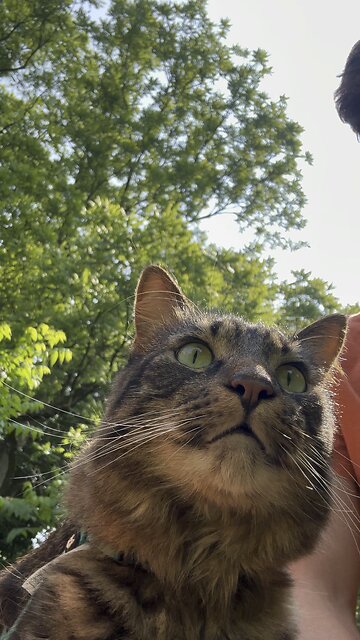 Noodle is so cute! ❤️