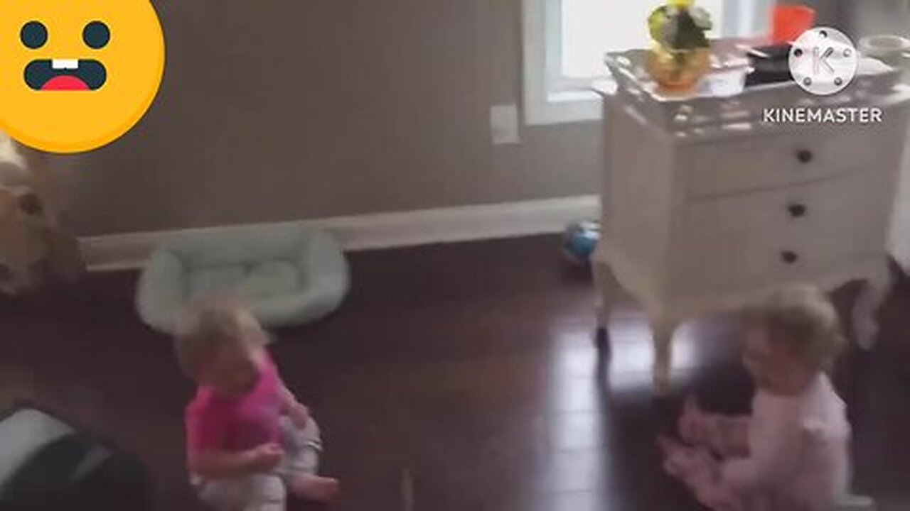 Two babies are playing with cat