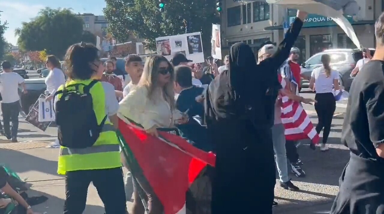 Fight Breaks Out Between Pro-Terrorist and Pro-Israel Protestors