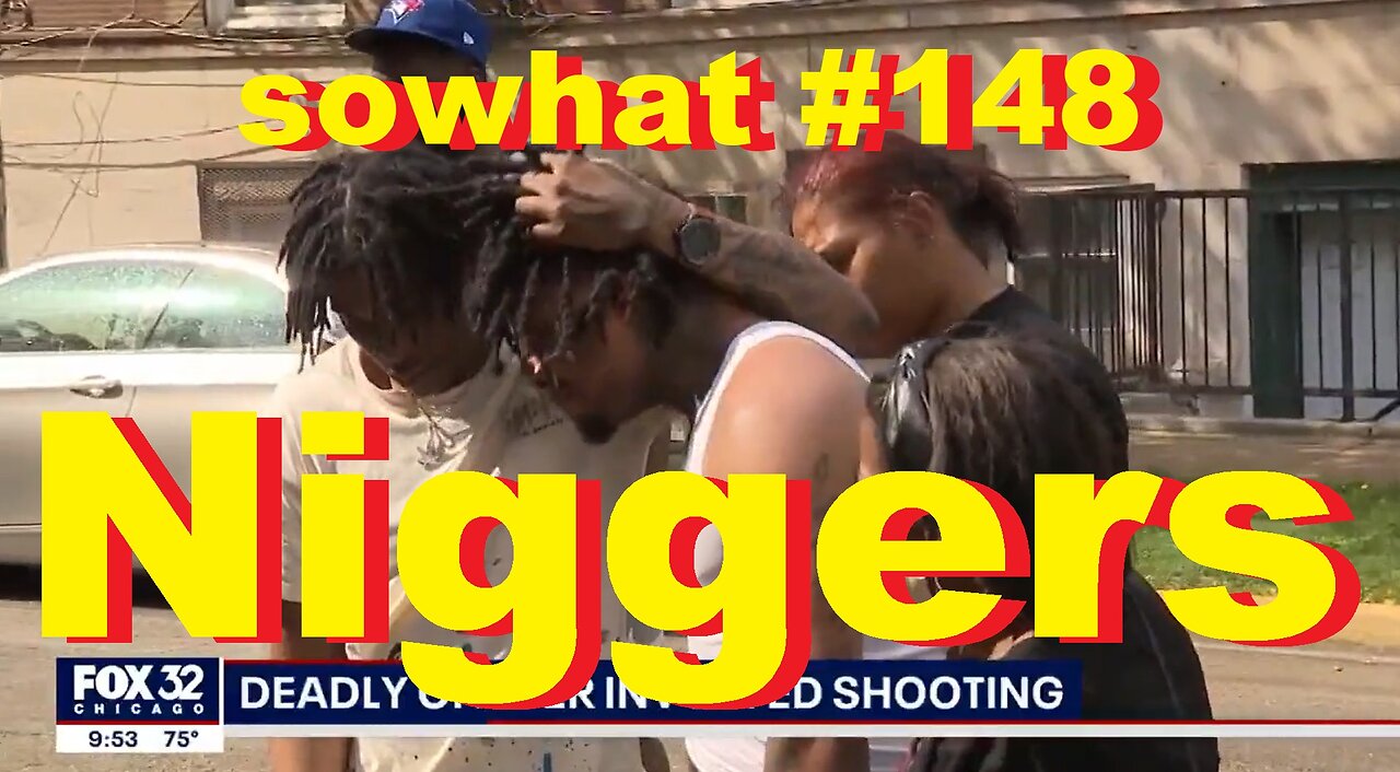 sowhat? 248 Niggers