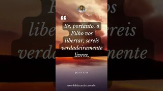 João 8,36 - Se, portanto, o Filho vos libertar, sereis verdadeiramente livres.