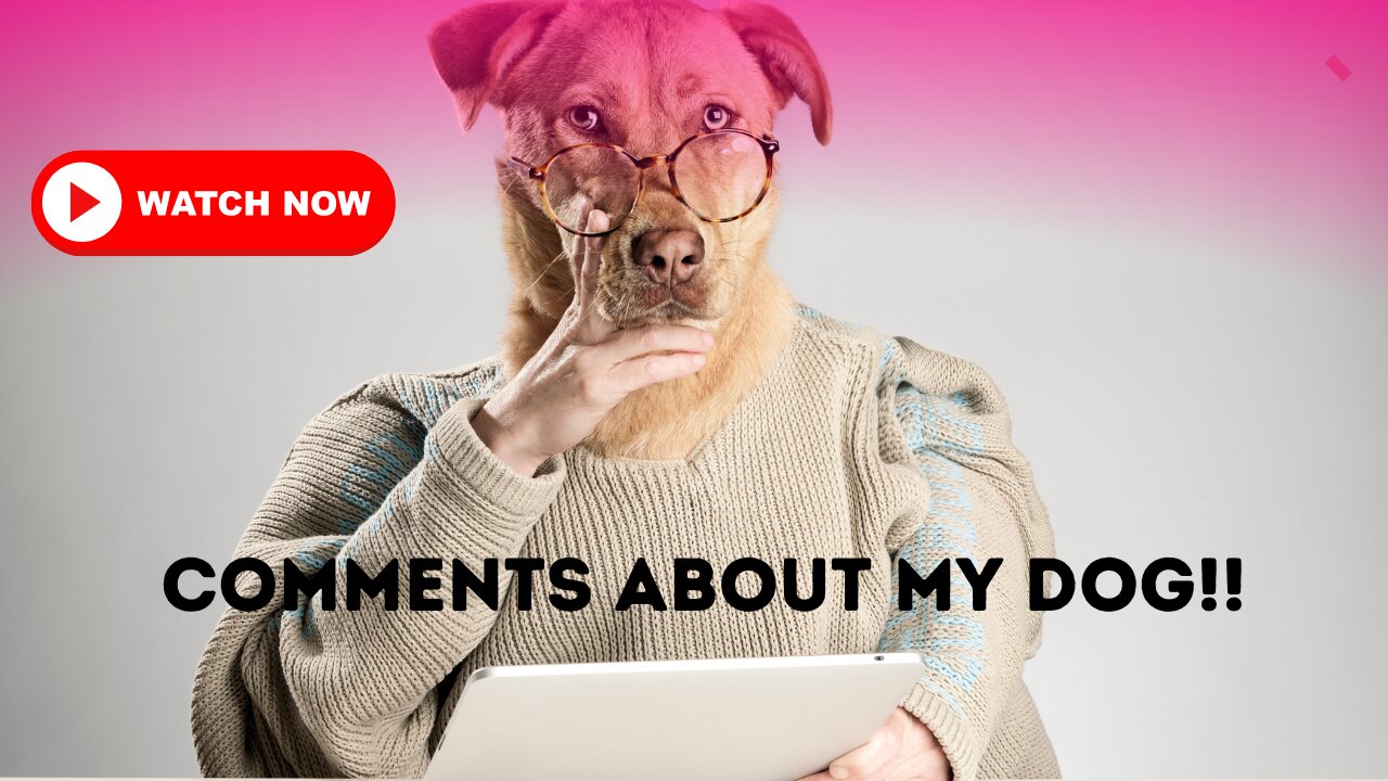 Funny and Hate Comments about a Dog