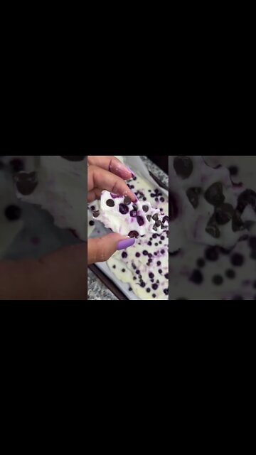 yogurt bark recipe with blueberry and chocolate #Shorts
