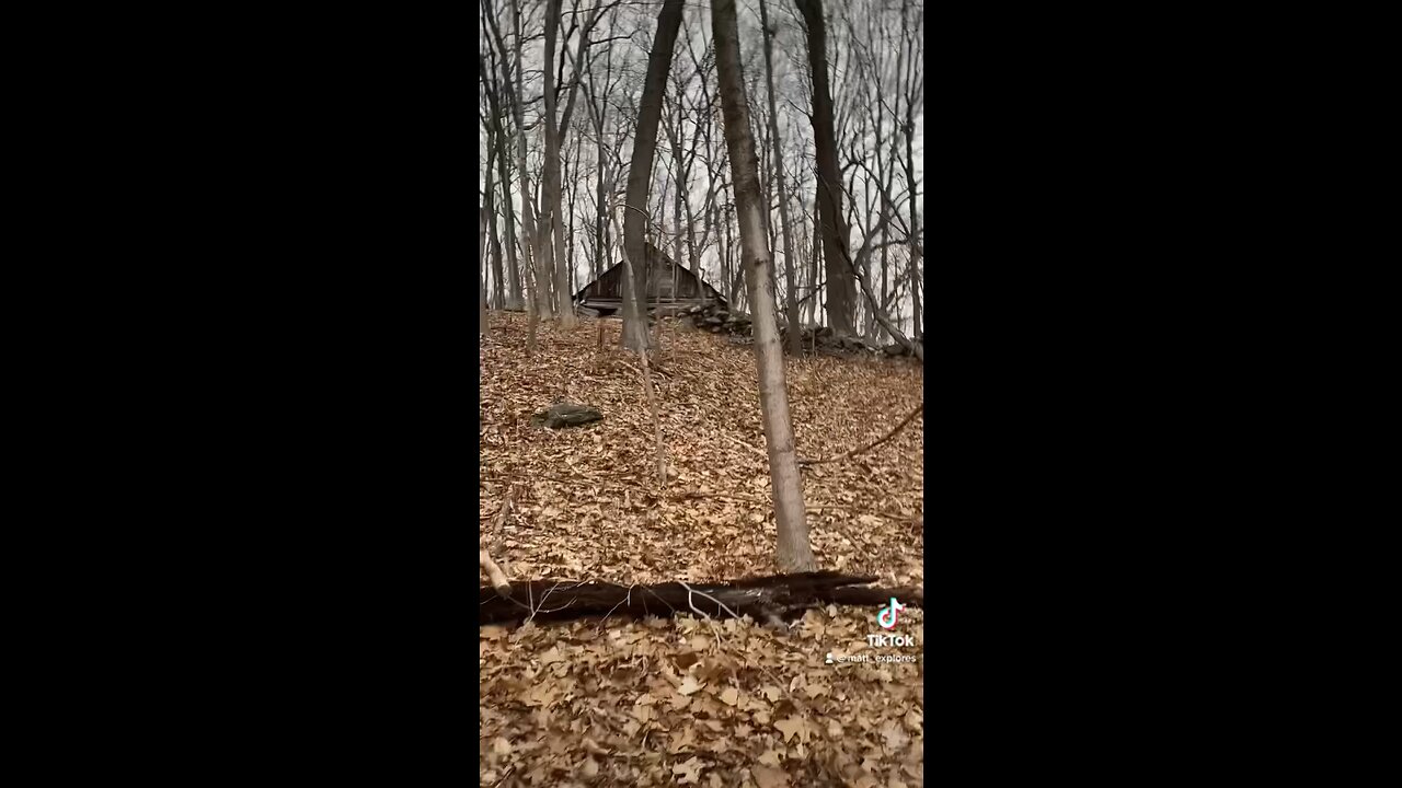 Creepy Blair witch house discovered in the woods