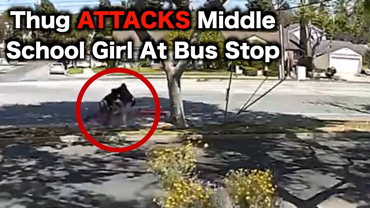 Criminal Violently Robs Middle School Girl