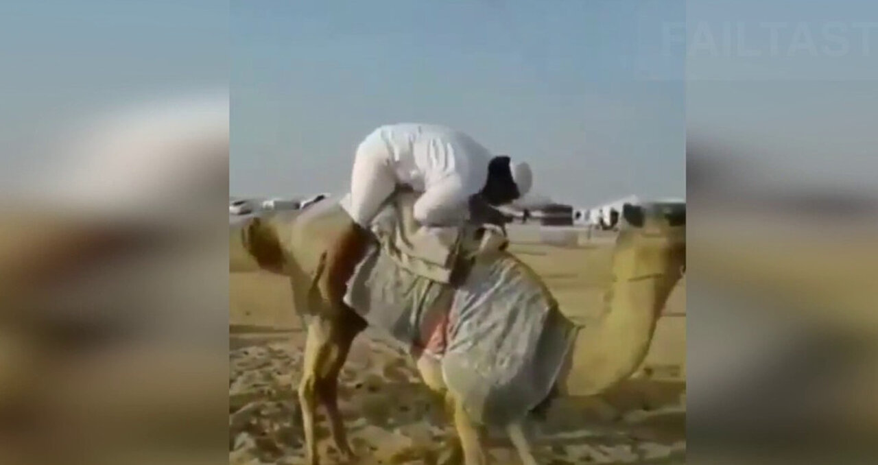 Funny Video Collection - 1