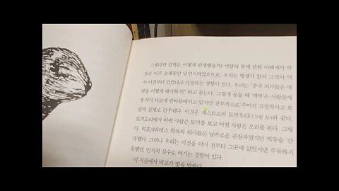 몸의 노래, 구리야마 시게히사, 진맥, 서양, 중국의사, 토끼오리, 플로이어, 워튼, 에페소스, 루푸스,