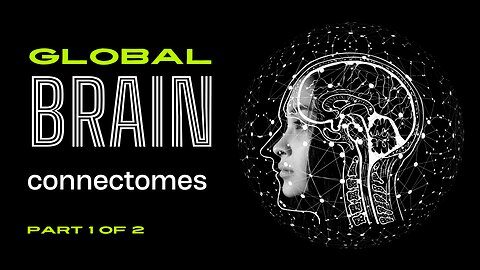 global brain connectomes 1/2