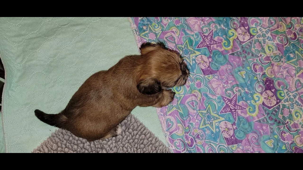 Tavi/Zoey