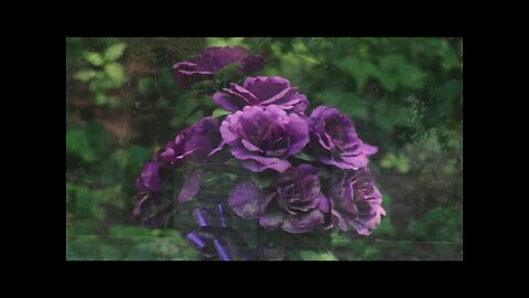 The Stones and Things Great