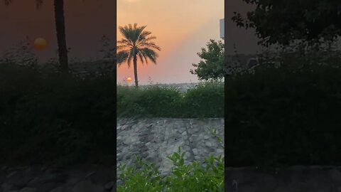 #short #subscribe #beautiful #nature #oman