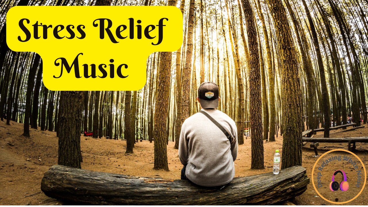 Stress Relief Music! Meditation Music! Relaxation Music!