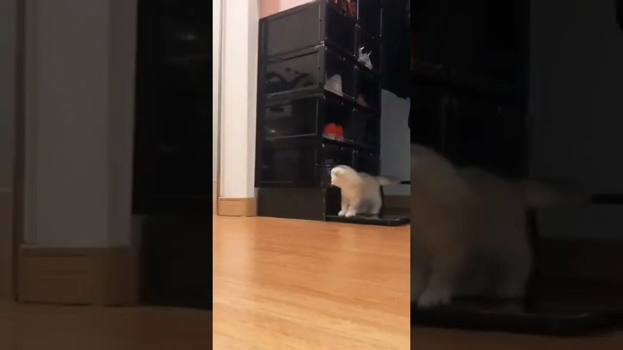 Warning: A very scary joke! ❤️🤣🤣