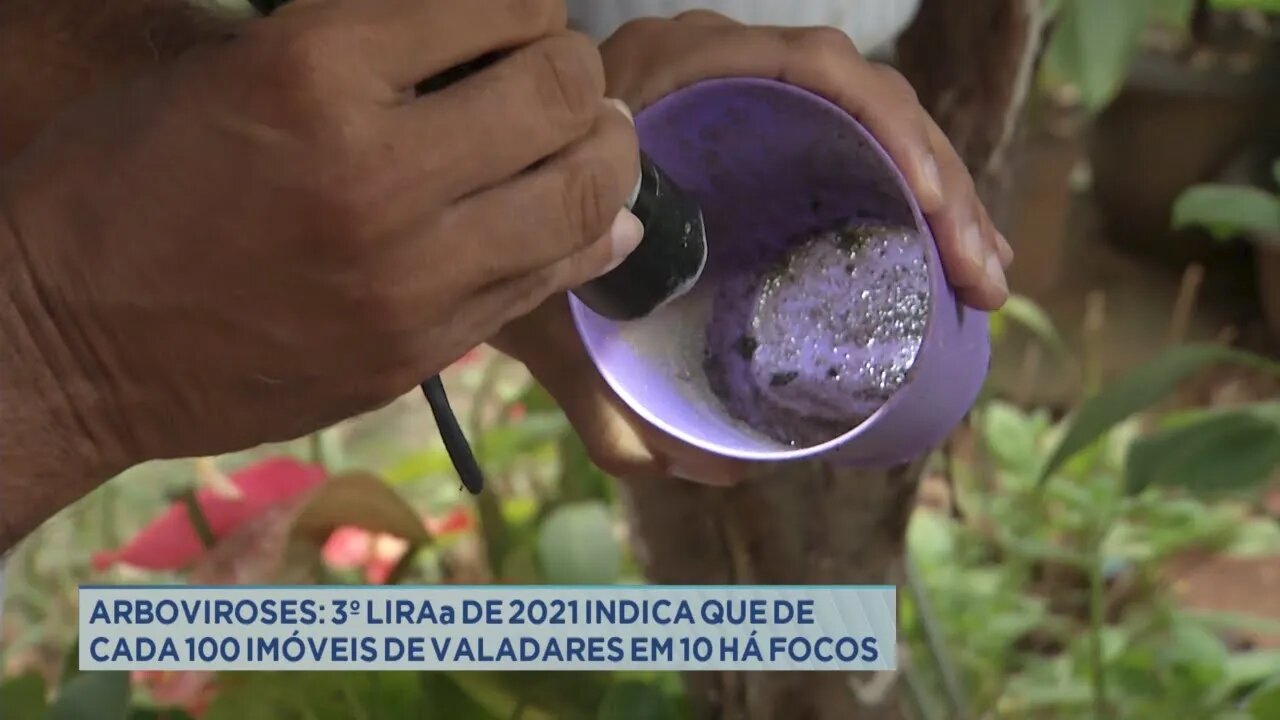 Arboviroses: 3º e último LIRAa de 2021 indica que de cada 100 imóveis de Valadares em 10 há foco