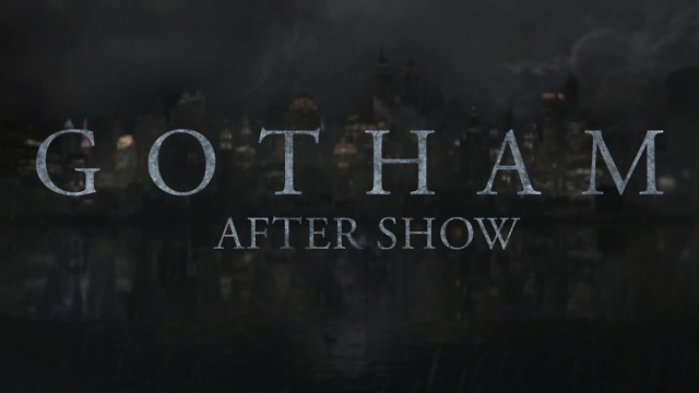 Gotham Season 3 Episode 14 "Mad City: The Gentle Art of Making Enemies"