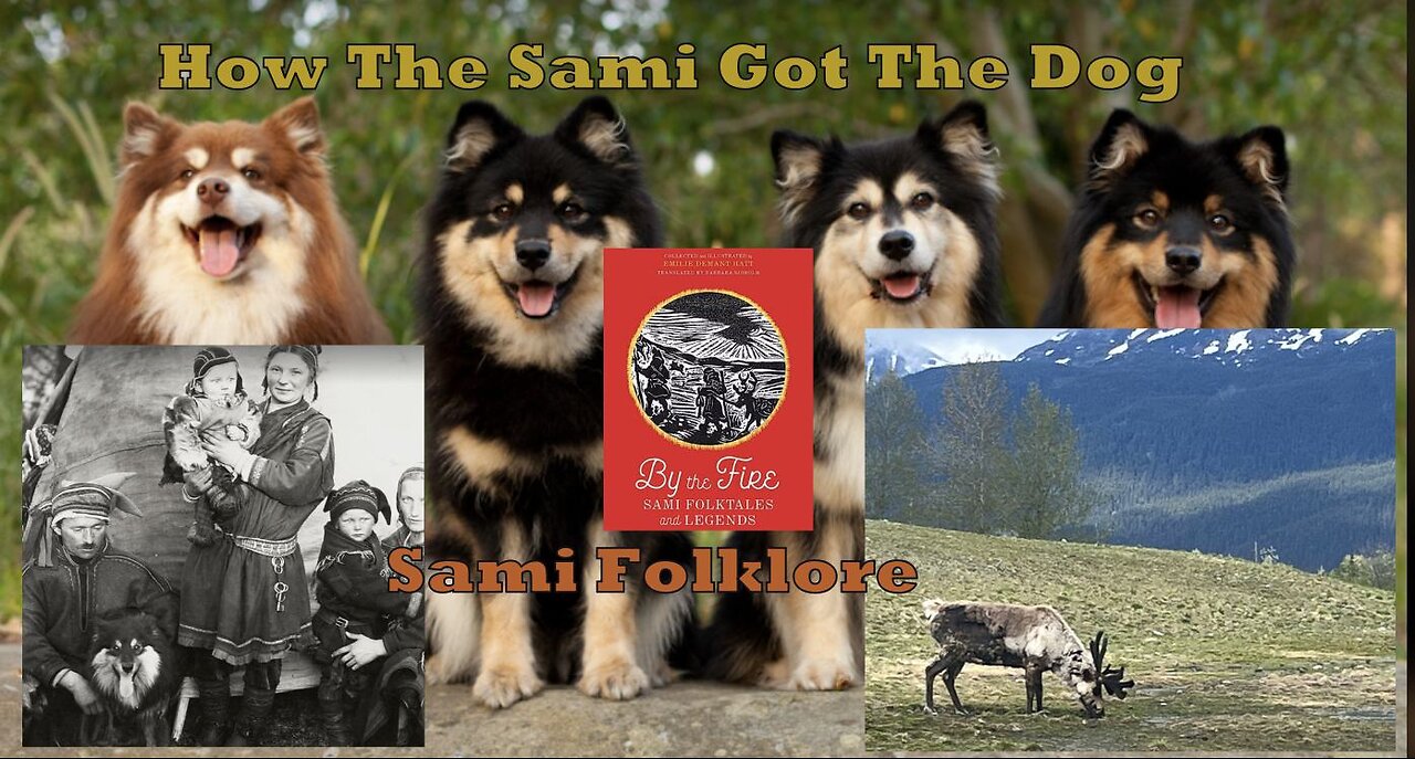 Sami Folklore 👀🐕‍🦺🐶🐕 #sami #folklore #dog How The Sami Got the Dog