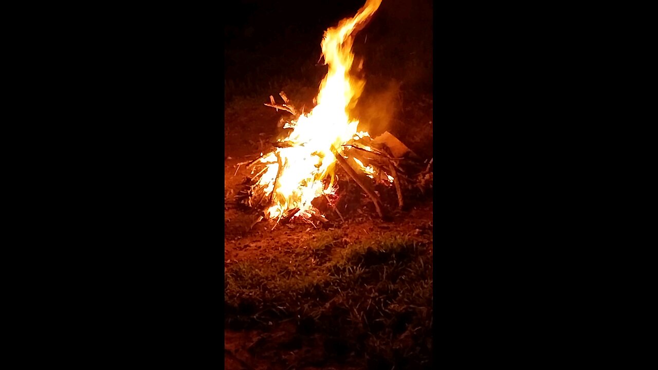 Brush pile