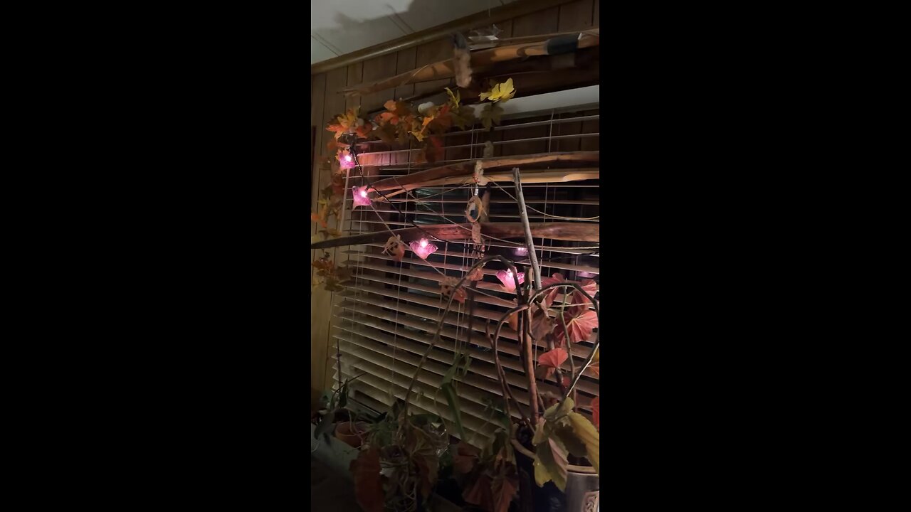Getting some Halloween magic to happen.