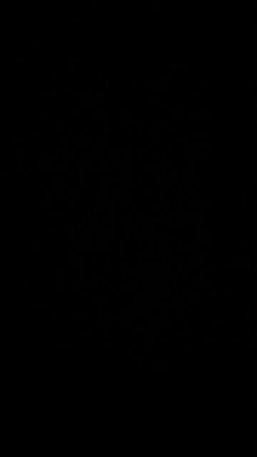 Post capitalist America in the Great Reset