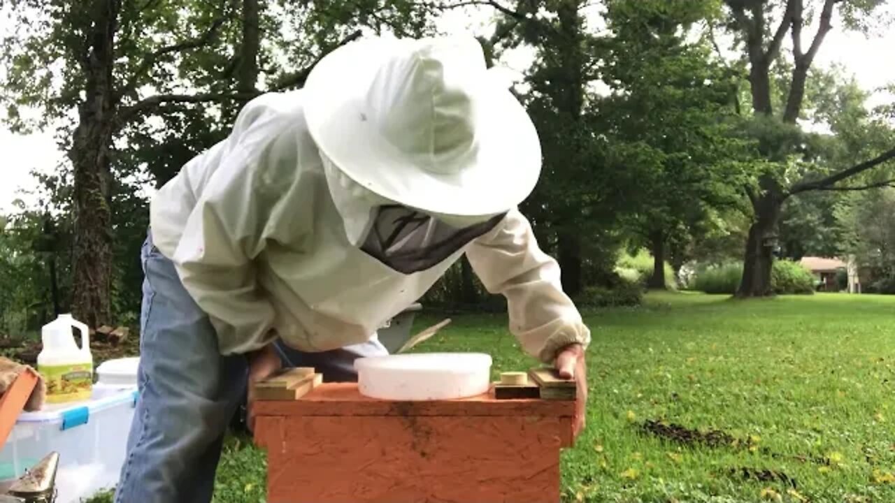 Sept 2, 2019 - Nuc to Deep, Hive 9