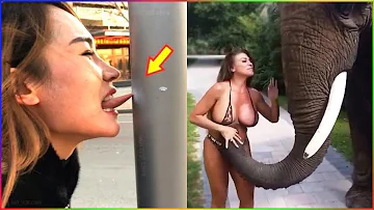 Funny Moments AWW NEW FUNNY 😂 Funny Videos