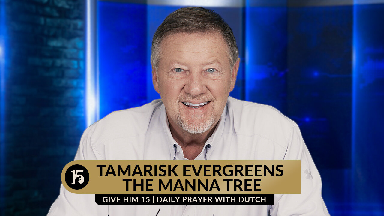 Tamarisk Evergreens - the Manna Tree | Give Him 15: Daily Prayer with Dutch | August 9, 2023