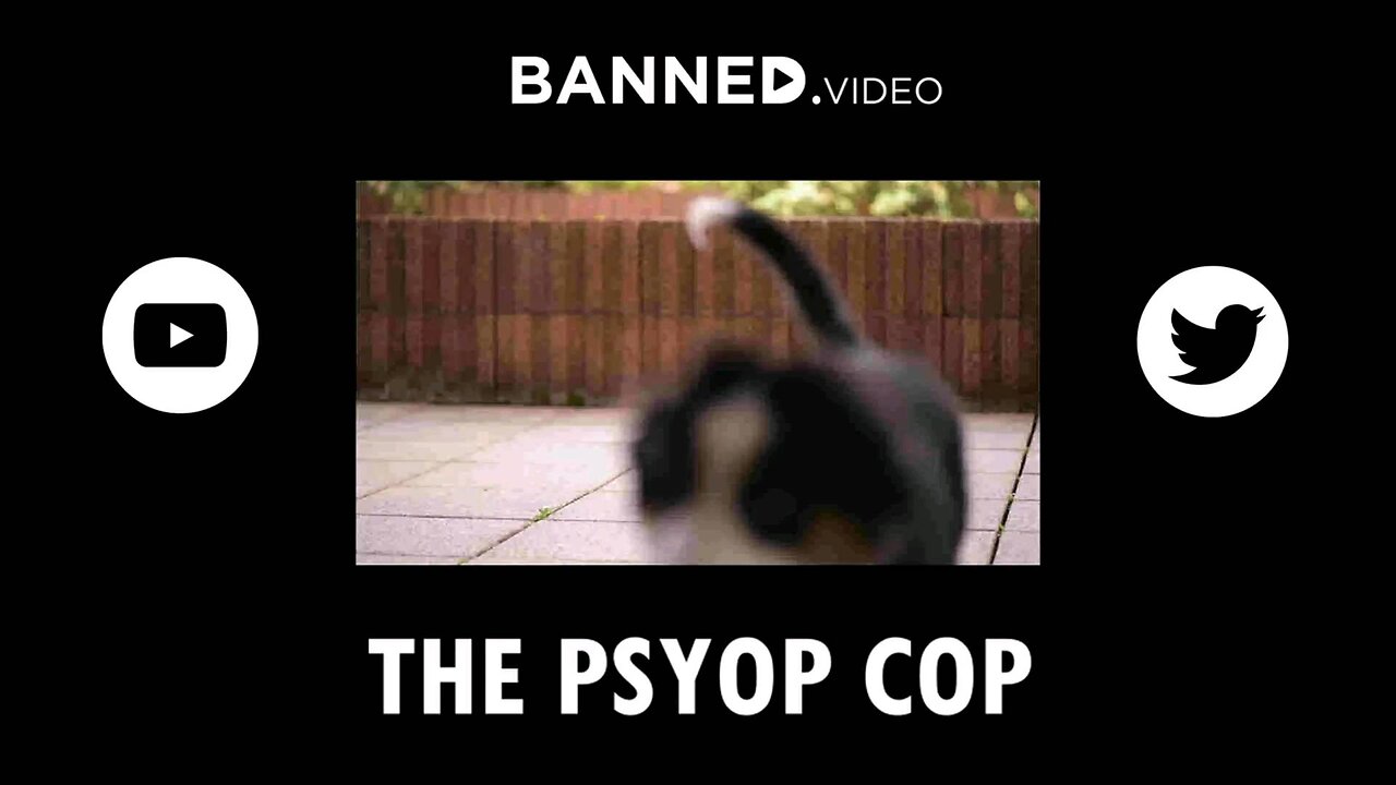 Is It Time For A Peaceful National Divorce?