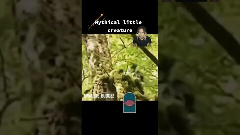 Mythical little Creatures