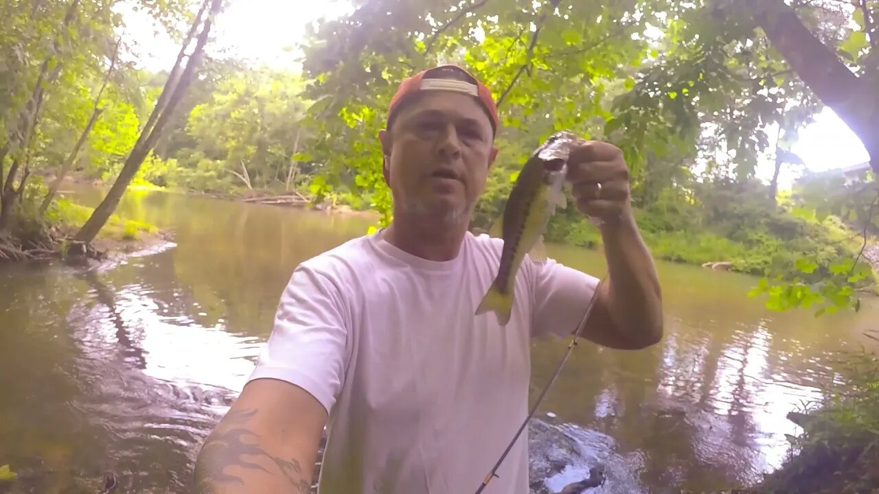 2 Largemouth bass catches on the beach side!