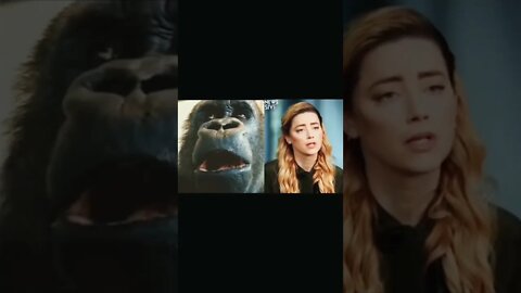 Amber Heard and a Monkey