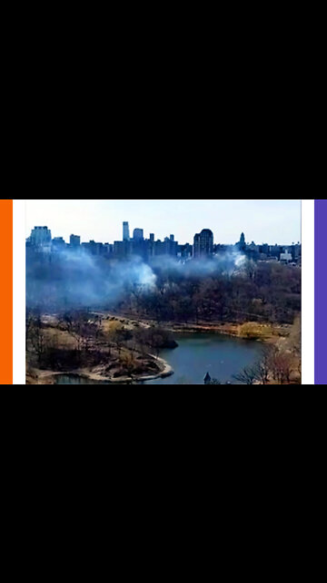Wild Fire Enthusiast In Central Park