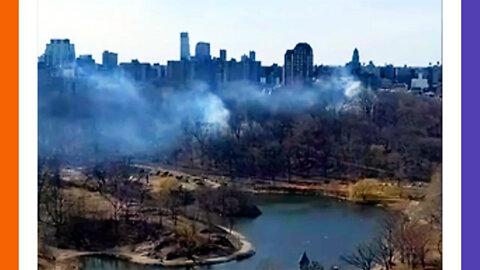 Wild Fire Enthusiast In Central Park