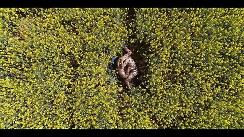 La traction des pôles AKA Magnetic Harvest (Marine Levéel, 2019) France