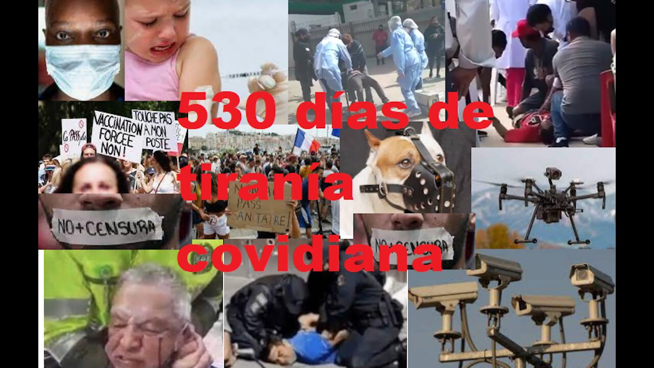 Carta-Relación de 530 días de tiranía | 23 Agosto 21