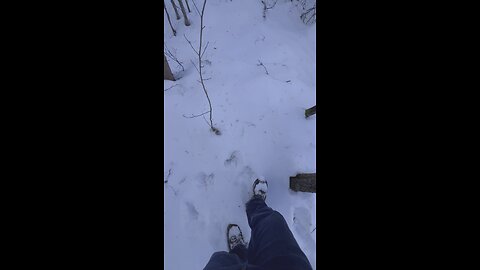 It’s definitely winter