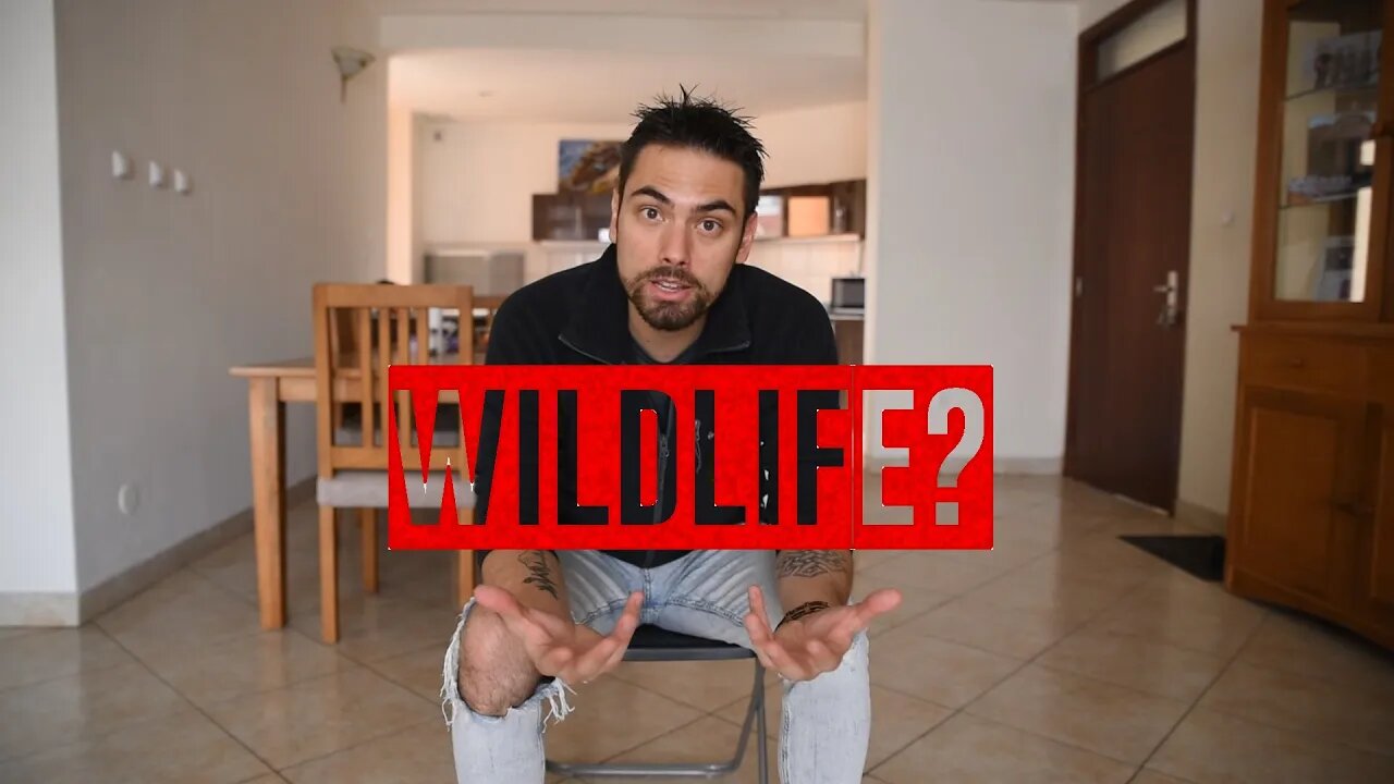 Health is indispensable for what I do | TravelingTeachr | Wildlife Photography Videography