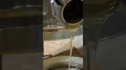 First Honey of 2022