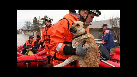 ЭКЗАМЕН НА ЧЕЛОВЕЧНОСТЬ...