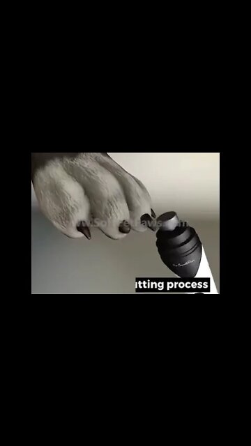 New Electric Dog Nail Clippers Pet Claws Cutter Grinders Tools With LED Light Cat Paws Nail Grooming