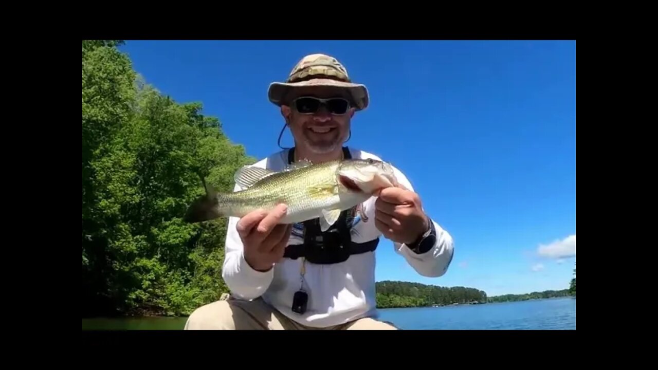 From Spawn to Post Spawn Lake Hartwell Bass