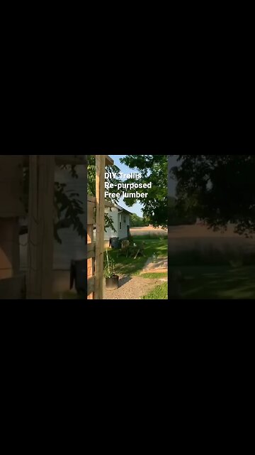 DIY Plant Trellis #bubba #gardeningtips #gardenideas