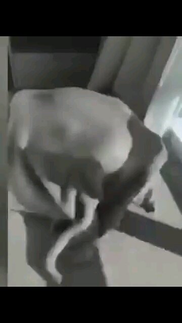 P. Diddy's ex girlfriend hides under blanket while he berates her.