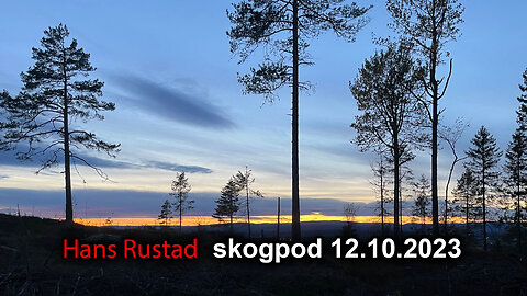 Skogpod 12. oktober 2023