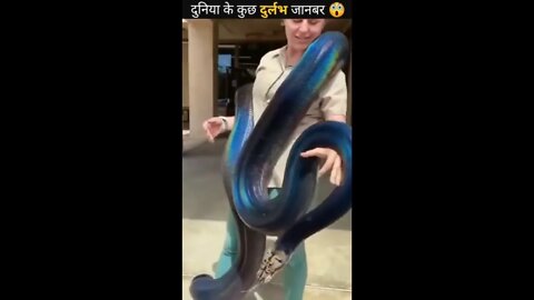 Colour full snake || Duniya ka sabse colour full snake 🐍2022 ||