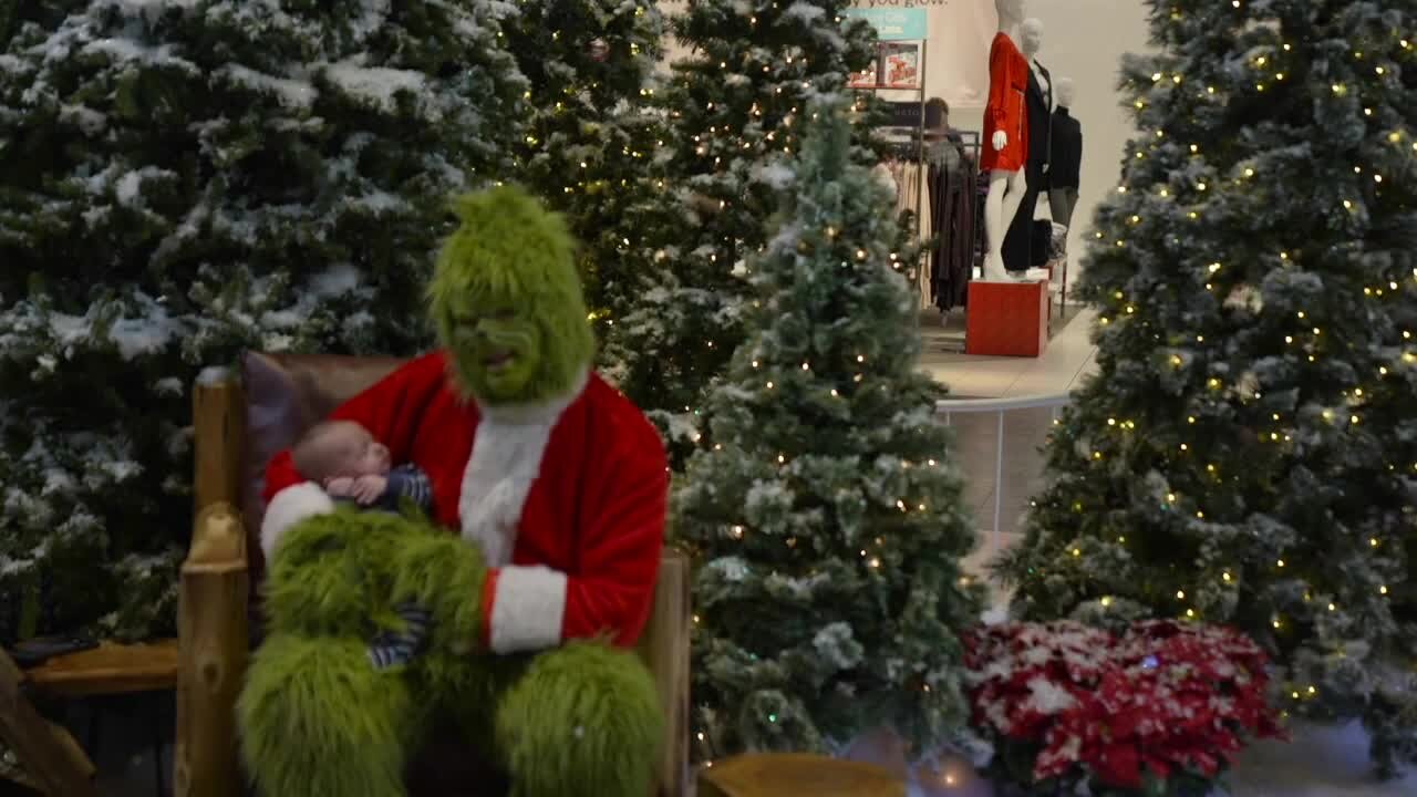 Delta Township and the Grinch turned out for Black Friday