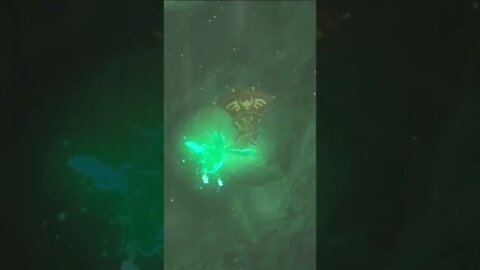 A Happy Landing In Legend of Zelda Breath of The Wild #shorts